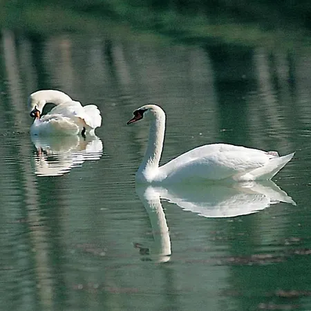 Nature Getaway In Passignano