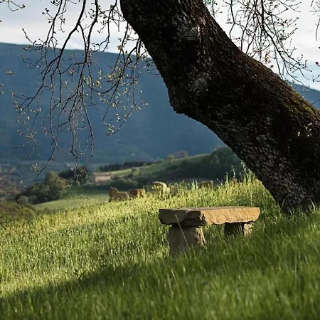 Semesterbostad Nature Getaway In Passignano